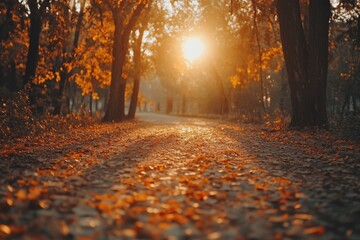 Poster - Golden leaves covering path in sunny autumn park at sunset