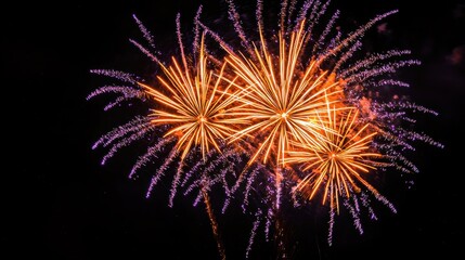Poster - Fireworks exploding, creating orange and purple trails against black background