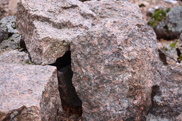 Poster - A bird sits atop a pile of rocks, its feathers rustling in the breeze.