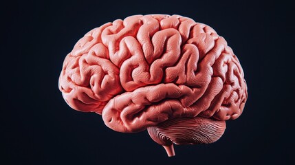 Poster - Detailed 3D Rendering of a Human Brain Showing Neural Structure and Complexity on a Dark Background