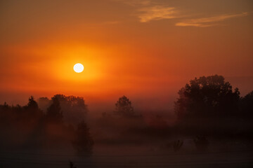 Wall Mural - golden sunrise hues light the misty landscape, revealing silhouettes of trees