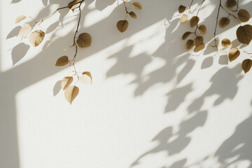 Aufkleber - Shadows of leaves create soft, natural pattern on white wall, evoking serene and tranquil atmosphere. delicate branches and leaves add organic touch to minimalist background