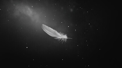 Poster - A single feather floating in a vast, empty space
