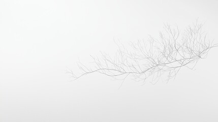 Poster - A white canvas with a single, delicate line drawing