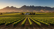 © StockWorld - Vineyard Vista: Serene Winery Estate with Mountains. Golden Hour in Cape Winelands, South Africa. Wine Country Beauty & Tourism.