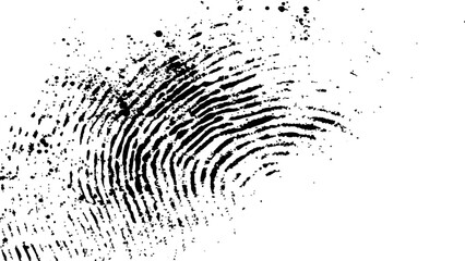 Wall Mural - black fingerprint on white transparent background. detailed fingerprint on grunge background symboli