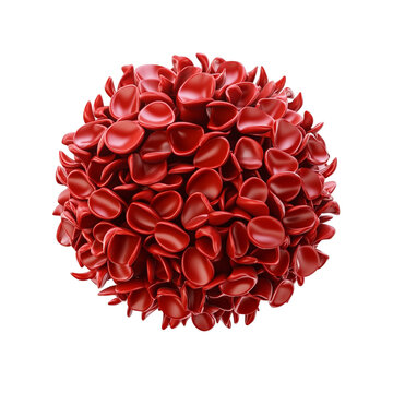 A vibrant red sphere of petals a captivating abstract art piece