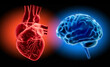 © peterschreiber.media - Glowing red heart und blue brain on dark background - 3D illustration