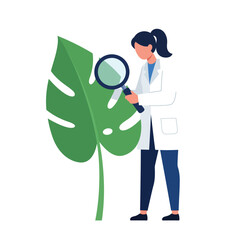 Poster - Scientist examining a large green leaf in a minimal style vector illustration