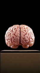Poster - Anatomically accurate pink human brain model floating above wooden pedestal against black background, showcasing detailed cerebral cortex surface structure.
