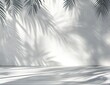 © sofia - Empty light grey space with palm leaf shadows