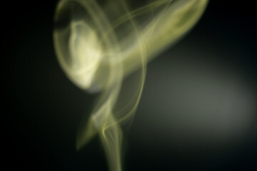 Wall Mural - close up of green smoke or gases move freely in the air