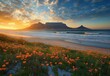 © ANUAR - Stunning Sunset Over Table Mountain with Vibrant Wildflowers and Gentle Waves on a South African Beach