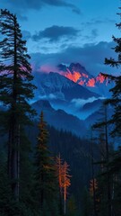 Wall Mural - Carpathian forest at dawn with soft illumination, mountains, illumination