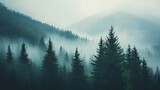 Misty Forest Landscape