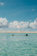 © Alina Hvostikova/Stocksy - Beautiful day at the serene beach with clear turquoise water