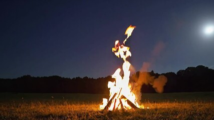 Wall Mural - A warm bonfire burns brightly in an open field under a starry night sky, casting a cozy glow on the grass.
