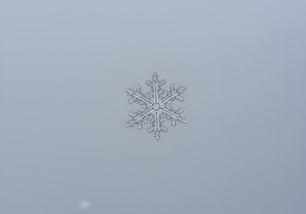 Wall Mural - A perfectly symmetrical snowflake caught mid-air against a soft gray winter sky