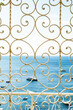 © Fellipe Ditadi/Stocksy - Ornate Wrought Iron Balcony with Sea View