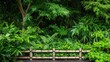 © ALIS ST - Tranquil Bamboo Garden with Lush Greenery and Natural Elements