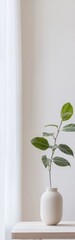 Poster - Elegant leafy plant in neutral vase on a minimalist table in a bright, spacious room