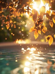 Poster - A sunny day with sunlight shining through the leaves of a tree reflected in the calm water