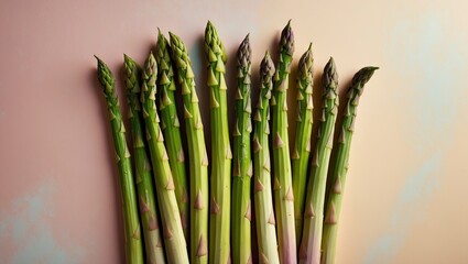 Poster - Fresh green asparagus spears arranged neatly in a row against a soft pastel beige background showcasing vibrant colors and textures.