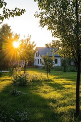 Poster - A sunny day with sunlight shining through the leaves of trees in a backyard or garden