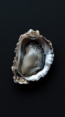 Poster - Open oyster shell containing a pearl