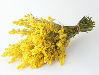 Poster - A bouquet of bright yellow flowers sitting on a clean white background