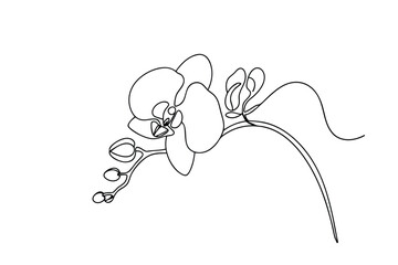 Poster - Elegant SingleLine Orchid Drawing Botanical Art, Minimalist Flower