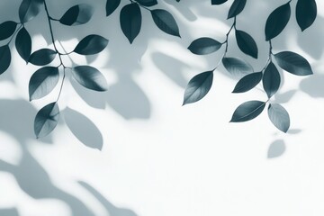 Aufkleber - Close-up image of leaves stuck to a wall in black and white