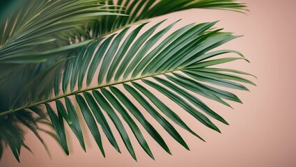 Poster - Elegant green palm leaf against a soft pastel peach background, positioned from the left side with a blurred focus enhancing texture and depth.