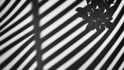 Poster - Striking interplay of light and shadow forming bold diagonal stripes and delicate floral silhouettes against a soft white background.
