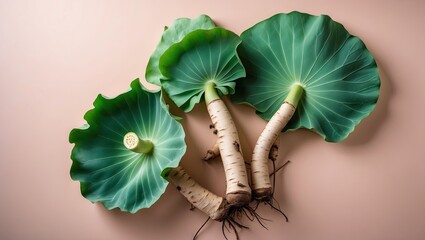 Fototapete - Fresh lotus roots with green leaves on a soft pastel background showcasing vibrant colors and natural textures in an artistic arrangement.