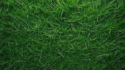 Leinwandbilder - Lush vibrant green grass texture from a bird's-eye view, showcasing rich hues and intricate blade patterns, enhancing natural outdoor aesthetics.