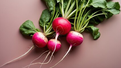 Poster - Fresh pink and white radishes with green leaves arranged on a soft brown background showcasing a vibrant and organic food composition.