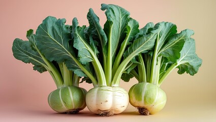 Poster - Kohlrabi with vibrant green leaves arranged in a line against a soft pastel background showcasing fresh summer vegetables.