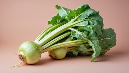 Poster - Fresh kohlrabi with vibrant green leaves positioned diagonally against a soft pastel background showcasing summer bounty and healthy eating.