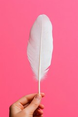 Poster - Minimalist Wellness Aesthetic Soft White Feather Against Bold Pink - Contemporary Mindfulness and Creative Branding Imagery for Holistic Design Trends