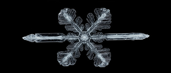 Poster - macro shot of snowflake highlights its delicate texture and intricate design against black background, showcasing beauty of nature geometry