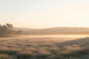 Leinwandbilder - Serene lavender field bathed in soft golden light at sunrise with gentle mist hovering over pastel grass