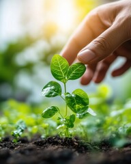 Poster - Regenerative Agriculture Insight Nurturing Green Tech Innovation Through Sustainable Seedling Growth - Eco-Conscious Cultivation and Digital Farming Future