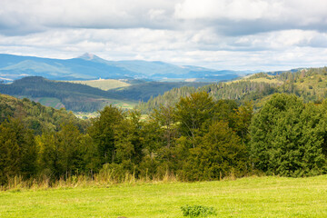 Wall Mural - carpathian mountain landscape in dappled light. countryside valley. nature in early autumn. deciduou