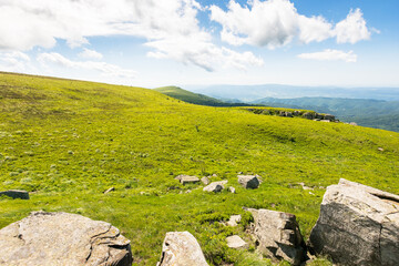 Wall Mural - landscape with alpine meadow on a sunny morning. rocks on green hills of carpathian mountain nature.