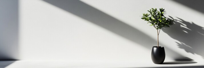 Aufkleber - Minimalist Urban Greenery Soft Shadow Botanical Design for Contemporary Wellness Spaces, Inspiring Mindful Interior Aesthetics and Sustainable Living Concepts