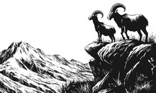 Mountain goats on cliff with himalayan scenery, flat icons set vector.