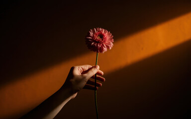 Poster - Delicate Hand Holding a Pink Flower Against a Warm Orange Background with Soft Light