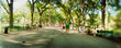 © Michael Marquand - Panoramic view of tourists walking in a park, Central Park, Manhattan, New York City, New York State, USA.