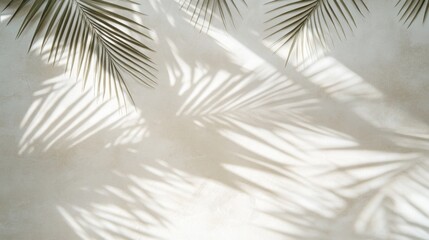 Leinwandbilder - Palm Leaf Shadows on Light Beige Wall Background